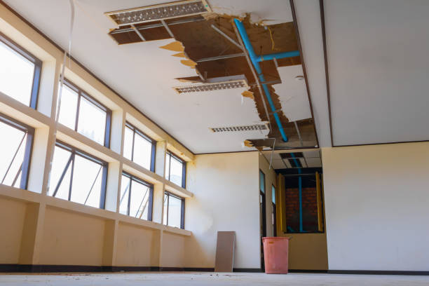 Best Sewage cleanup and water damage restoration  in Geva, NE