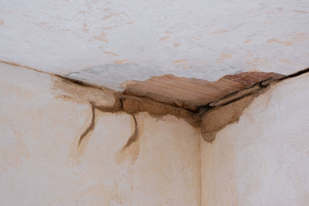 Best Ceiling water damage repair  in Geva, NE