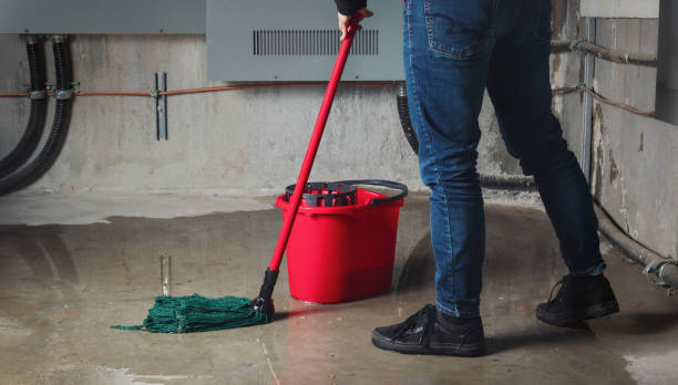 Best Water damage restoration near me  in Geva, NE