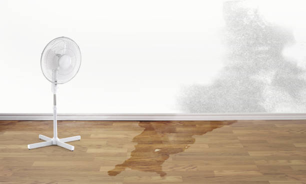 Best Emergency water damage restoration  in Geva, NE