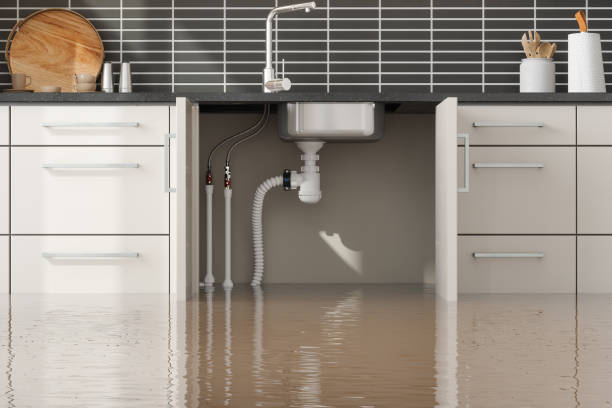 Best Flood damage cleanup  in Geva, NE