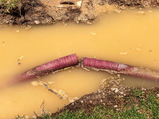 Reliable Geneva, NE Water damage restoration Solutions
