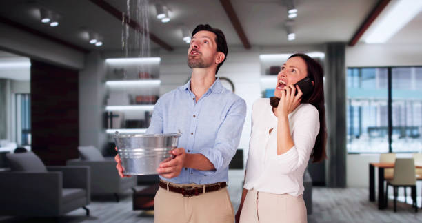 Best Basement water damage restoration  in Geva, NE